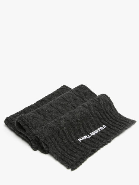 Écharpe K Essential Karl lagerfeld Gris k essential A4W33029 vue secondaire 2